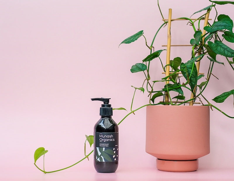 Munash Organics Indoor Plant Seaweed Tonic 200ml