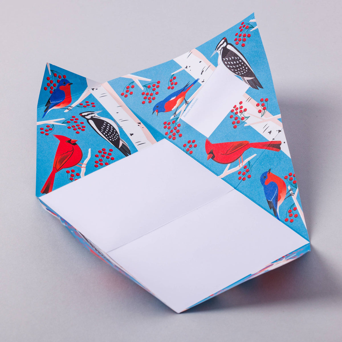 Pigeonposted Carnival of Colour Pigeon, Folding Letter Pack, Pack of 6