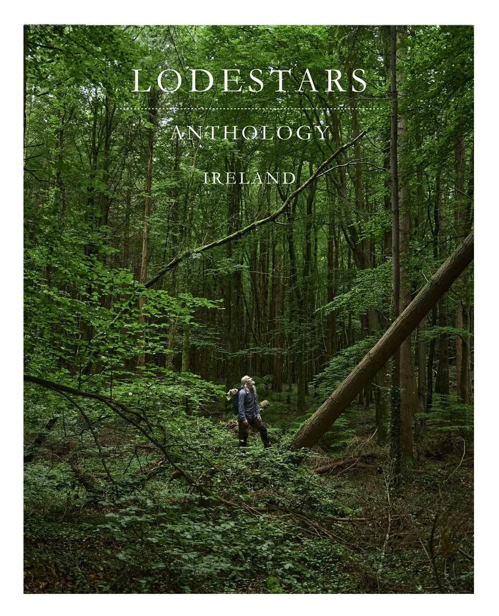 Lodestars Anthology Issue 17 Ireland cover
