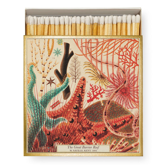 Great Barrier Reef | Square Matchboxes