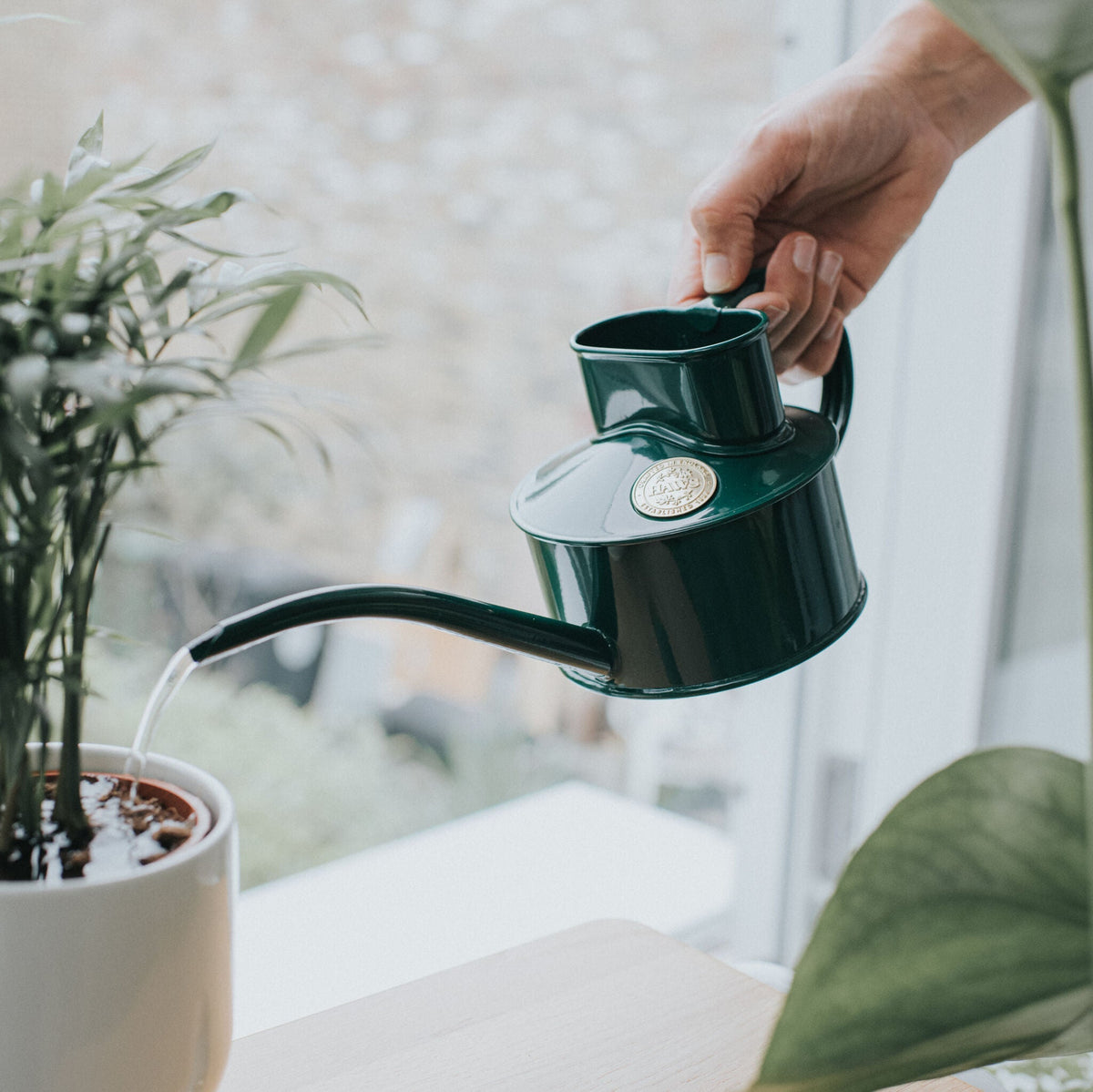 Green Fazeley Flow watering a houseplant