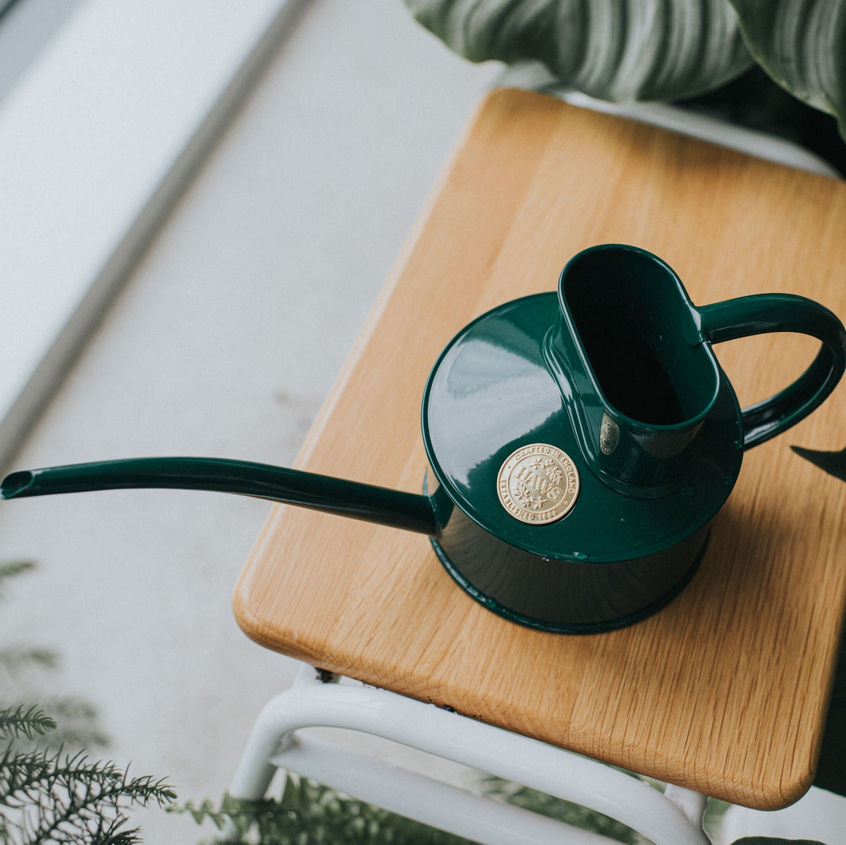 Green Fazeley Flow with indoor plants