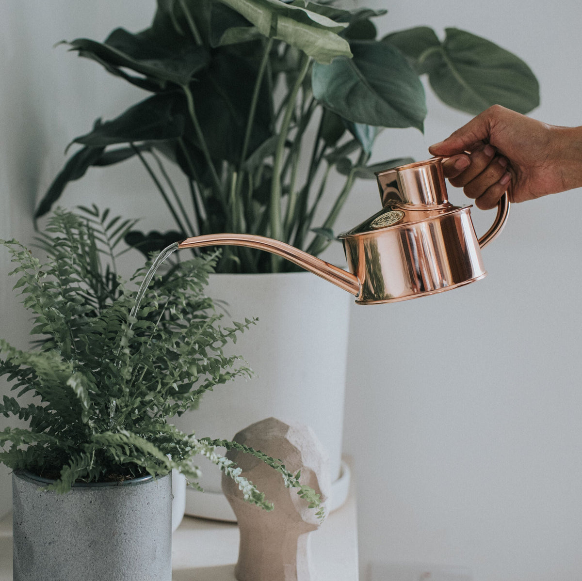 Copper Fazeley Flow watering a pot plant