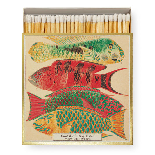 Fish | Square Matchboxes
