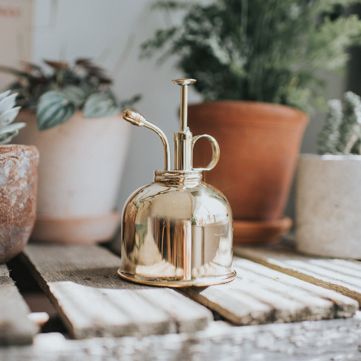 Brass Smethwick Spritzer misting a houseplant