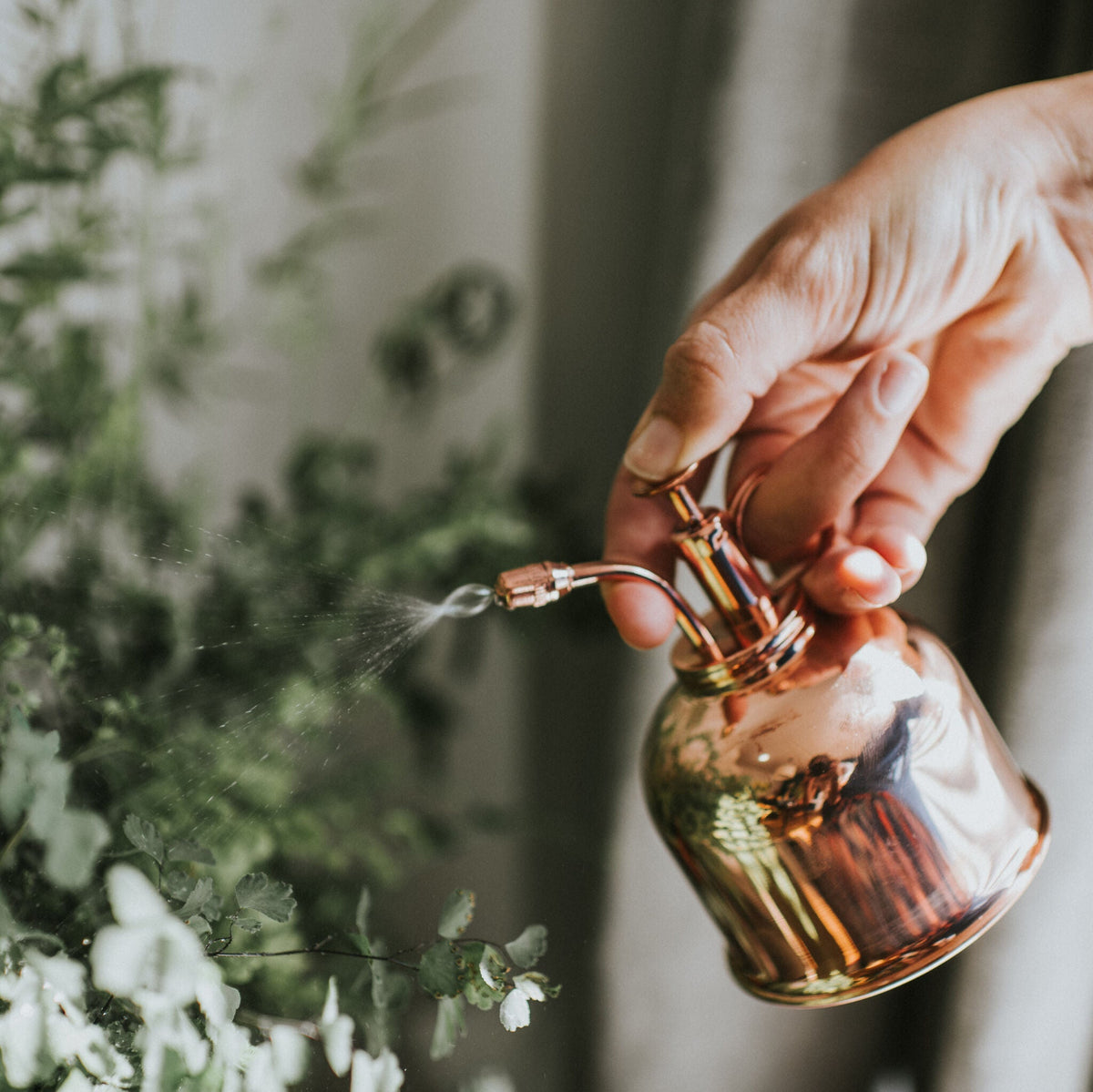 Copper Smethwick Spritzer with indoor plants