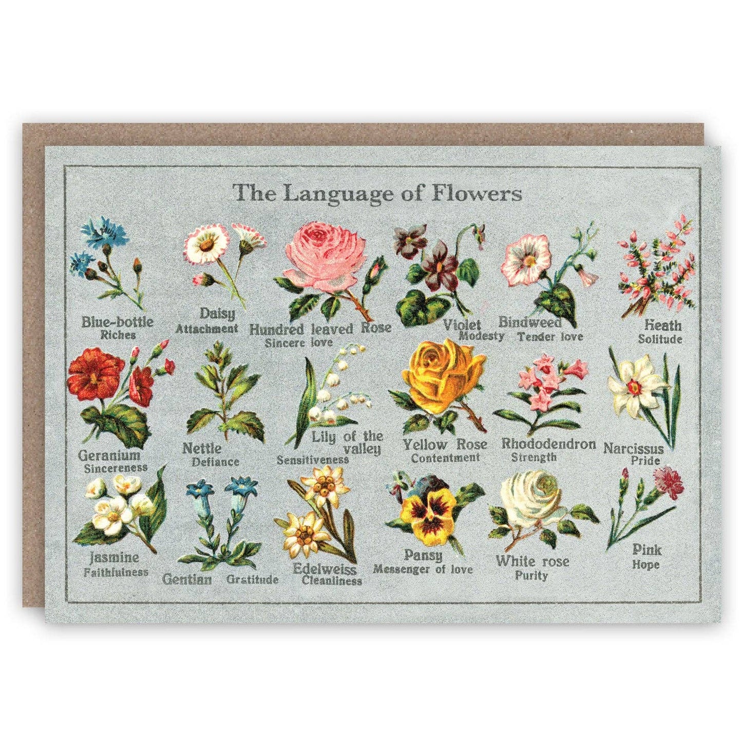 The Pattern Book - Language of Flowers