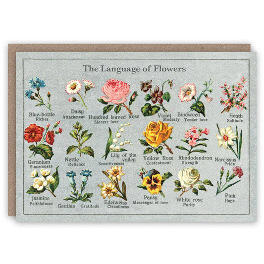 The Pattern Book - Language of Flowers