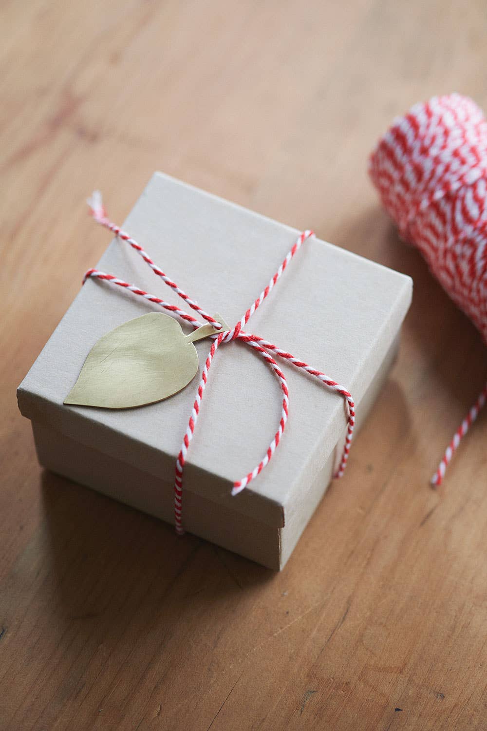 Leaf Ornament (round leaf, no serration)
