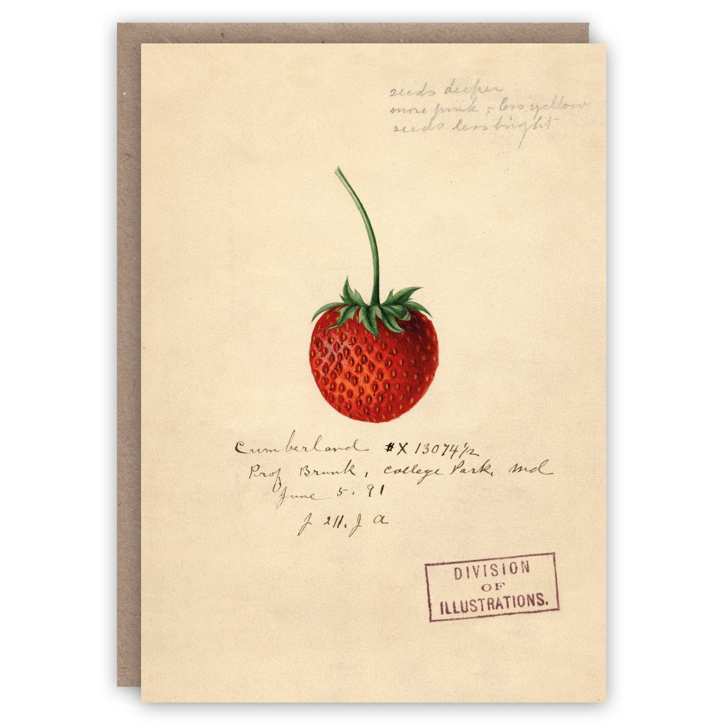 The Pattern Book - Strawberry greeting card