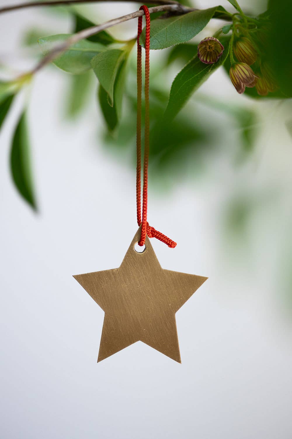 Brass Star Ornament