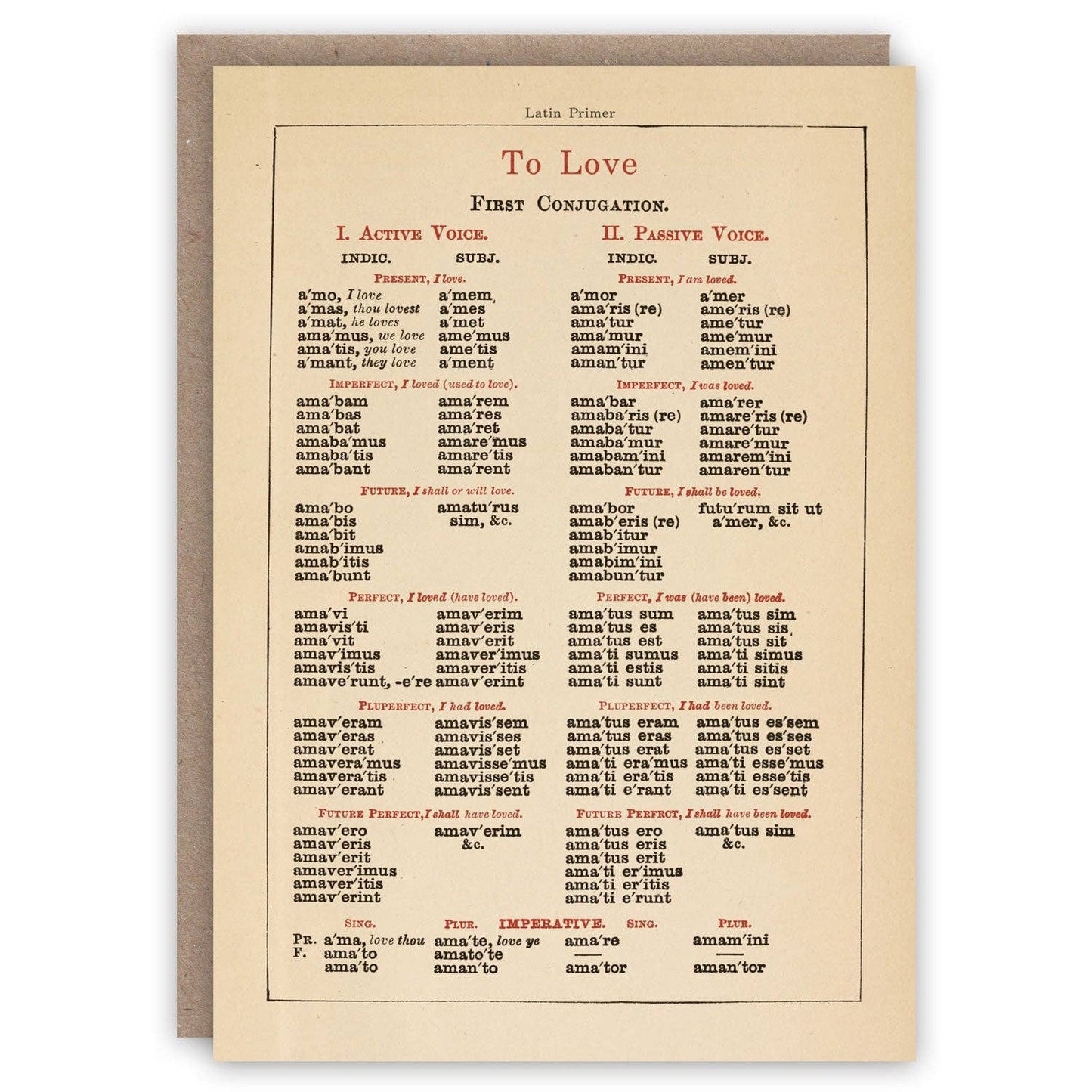 The Pattern Book - Latin Primer