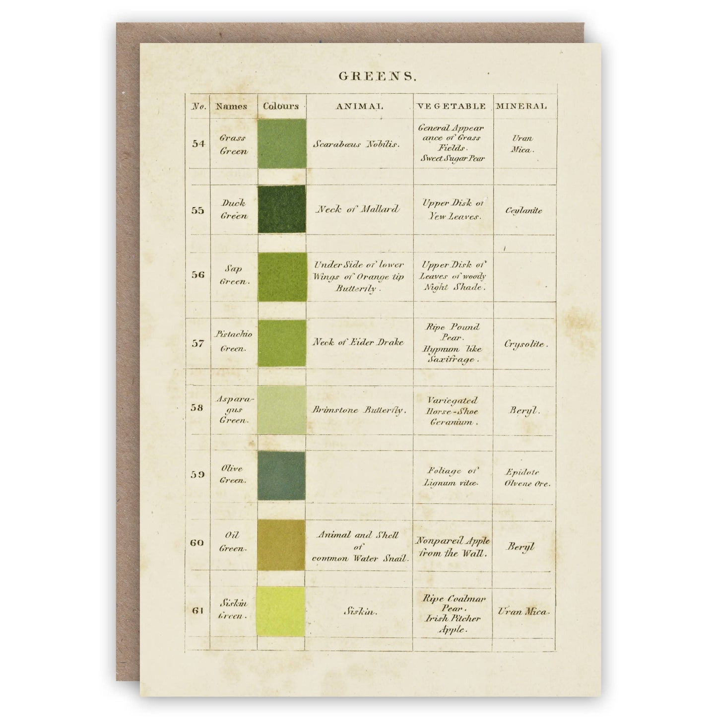 The Pattern Book - Greens greeting card