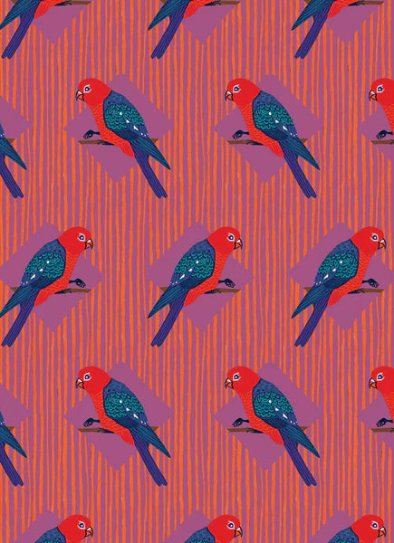 All Wrapped Up: Birds & Bugs