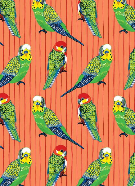 All Wrapped Up: Birds & Bugs