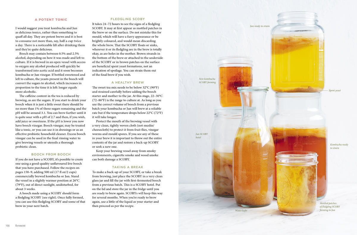 Ferment: A Practical Guide to the Ancient Art of Making Cultured Foods