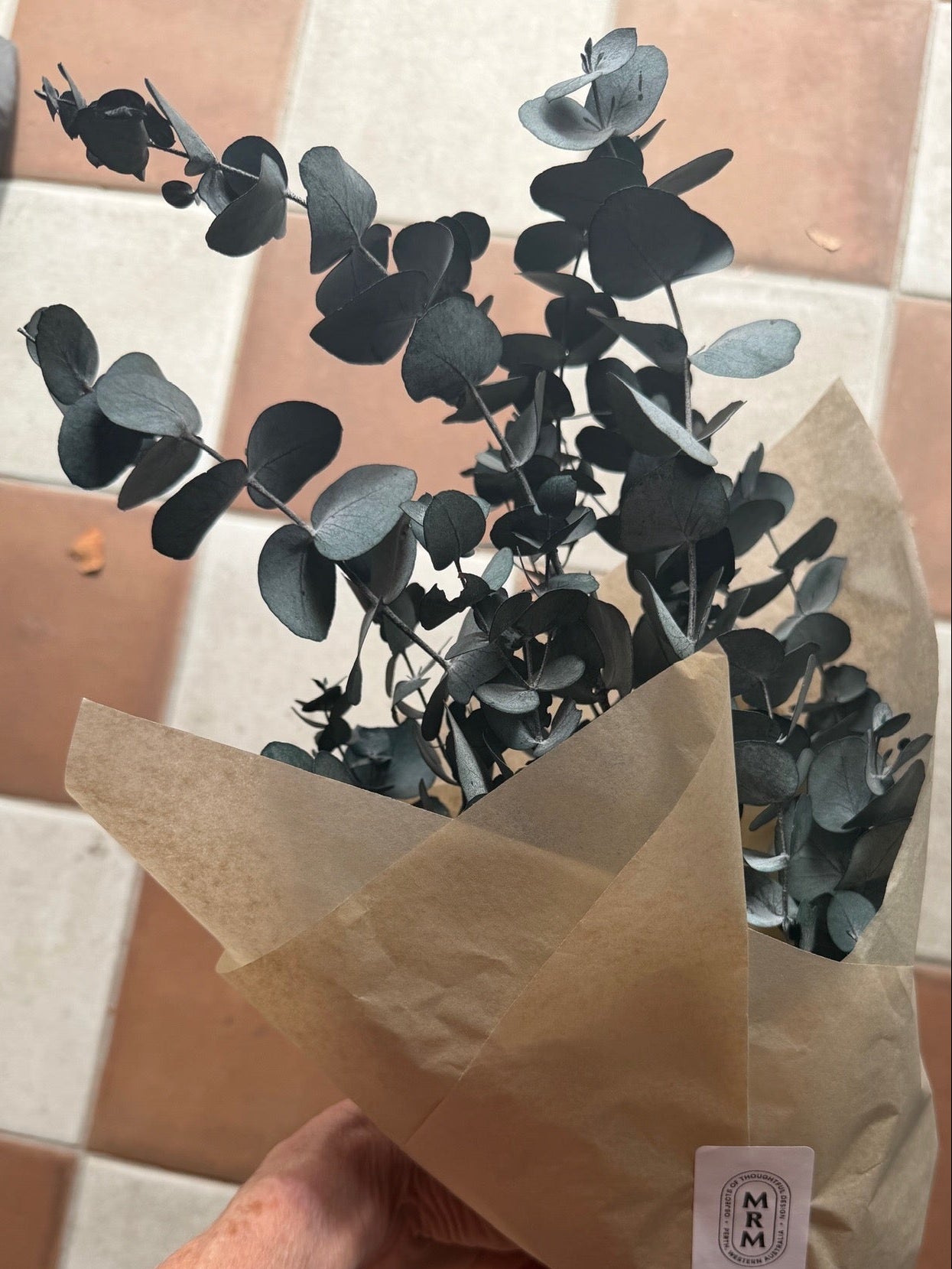 Eucalyptus Bunch