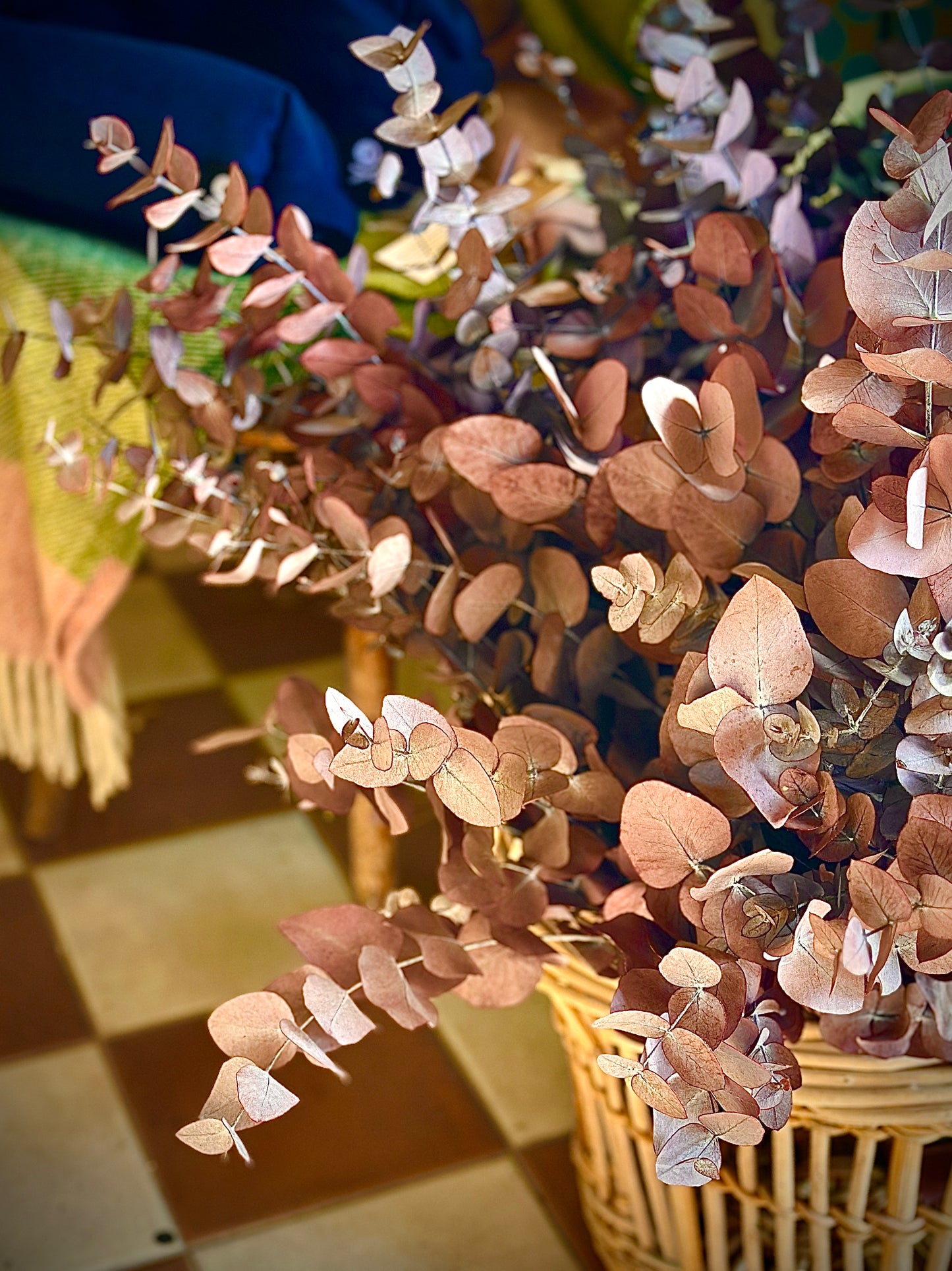 Eucalyptus Bunch