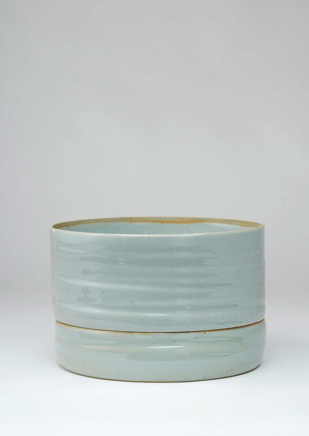 Self Watering Plant Pot