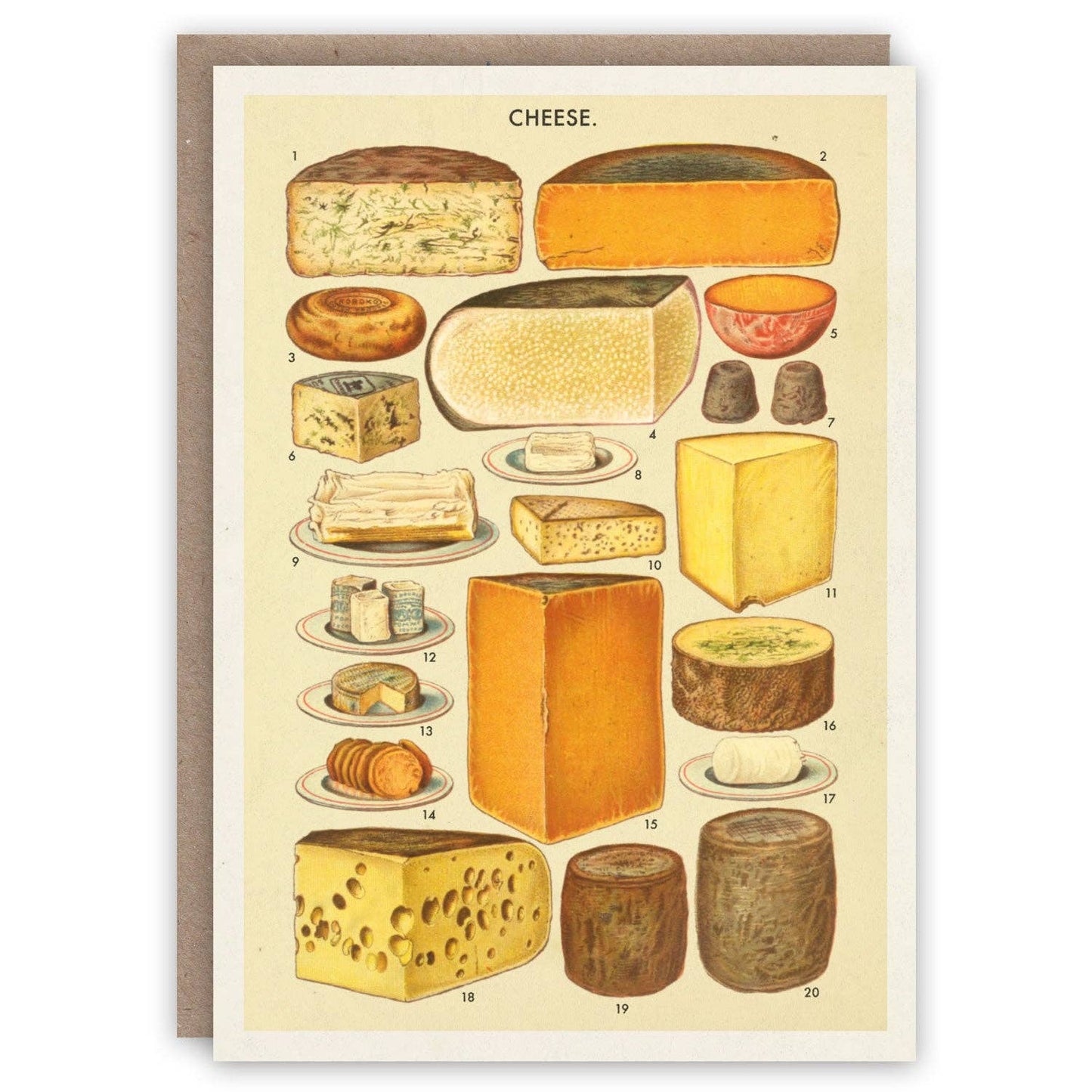 The Pattern Book - Cheese