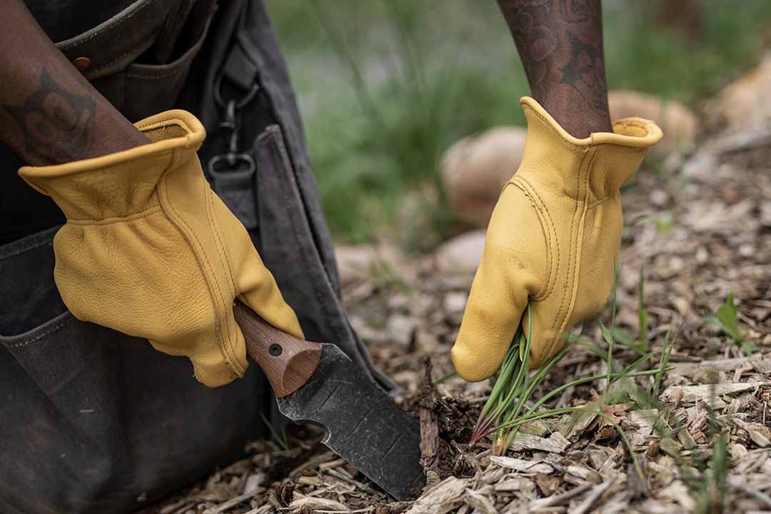 Barebones Classic Work Glove