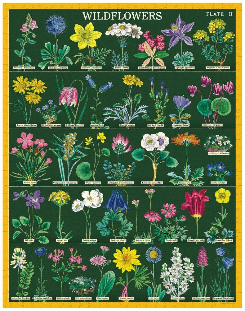Cavallini 'Wildflowers' 1000 Pc Vintage Puzzle
