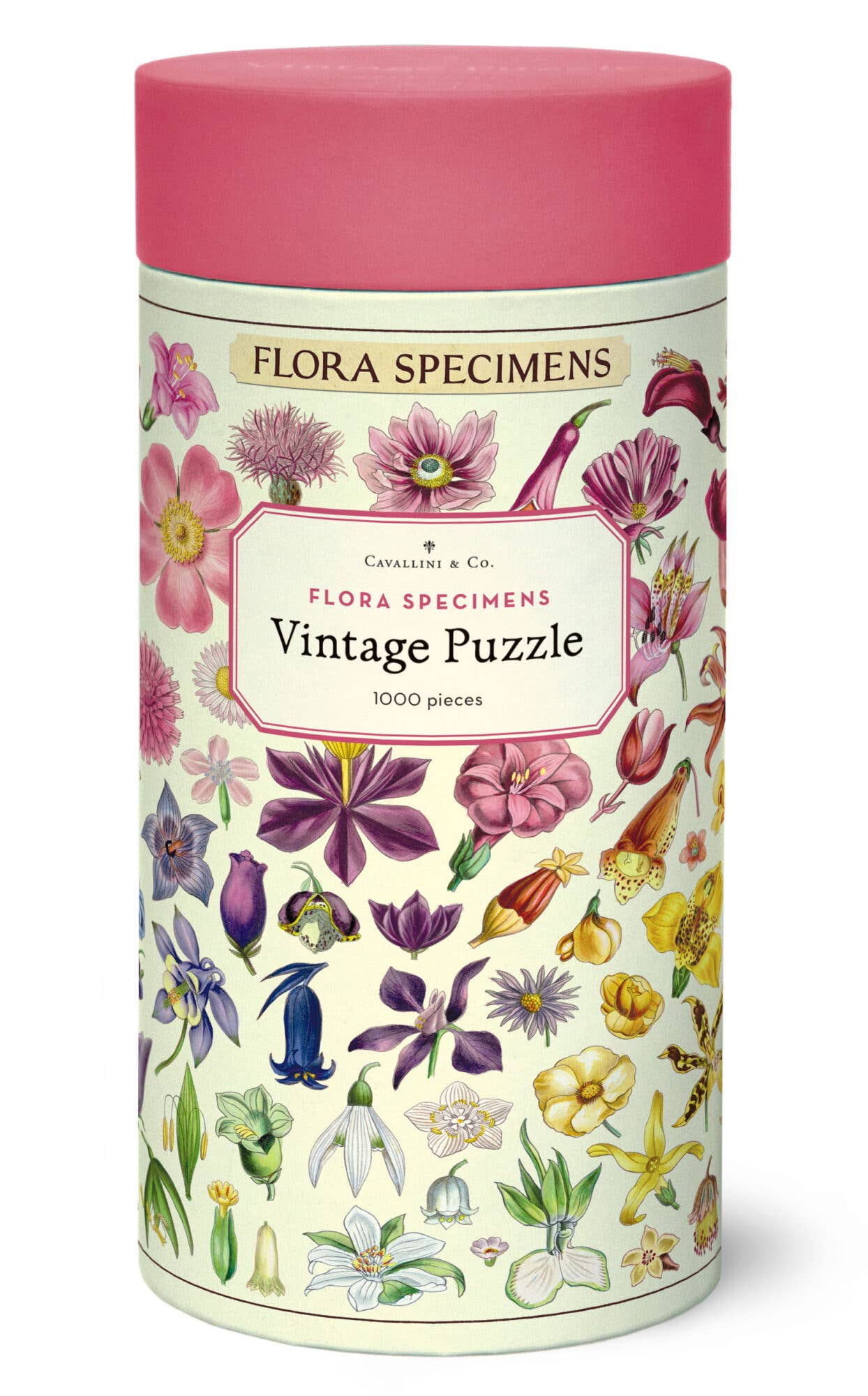 Cavallini - 1000 Pc Puzzle Flora Specimens