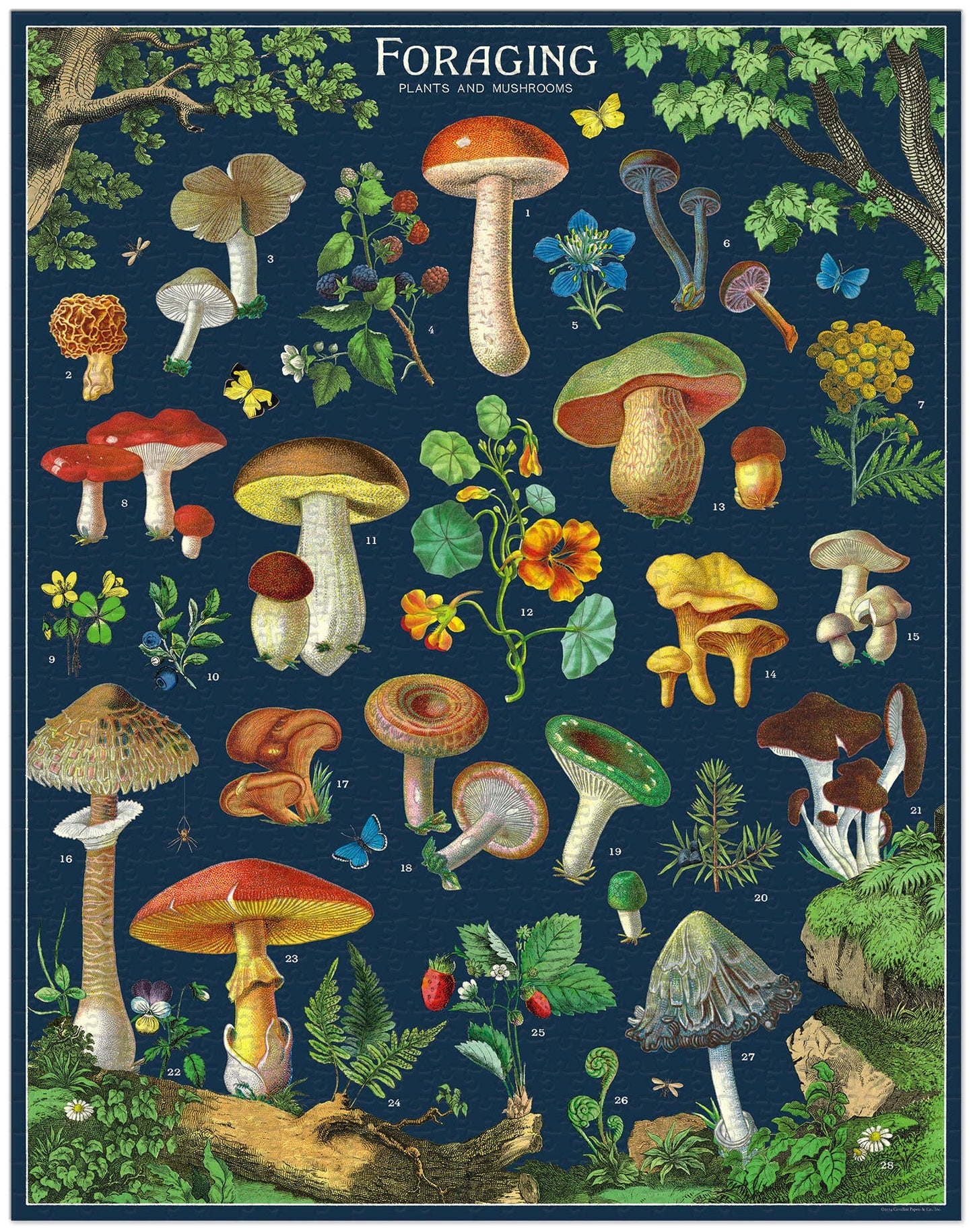 Cavallini - 1000 Pc Puzzle Foraging
