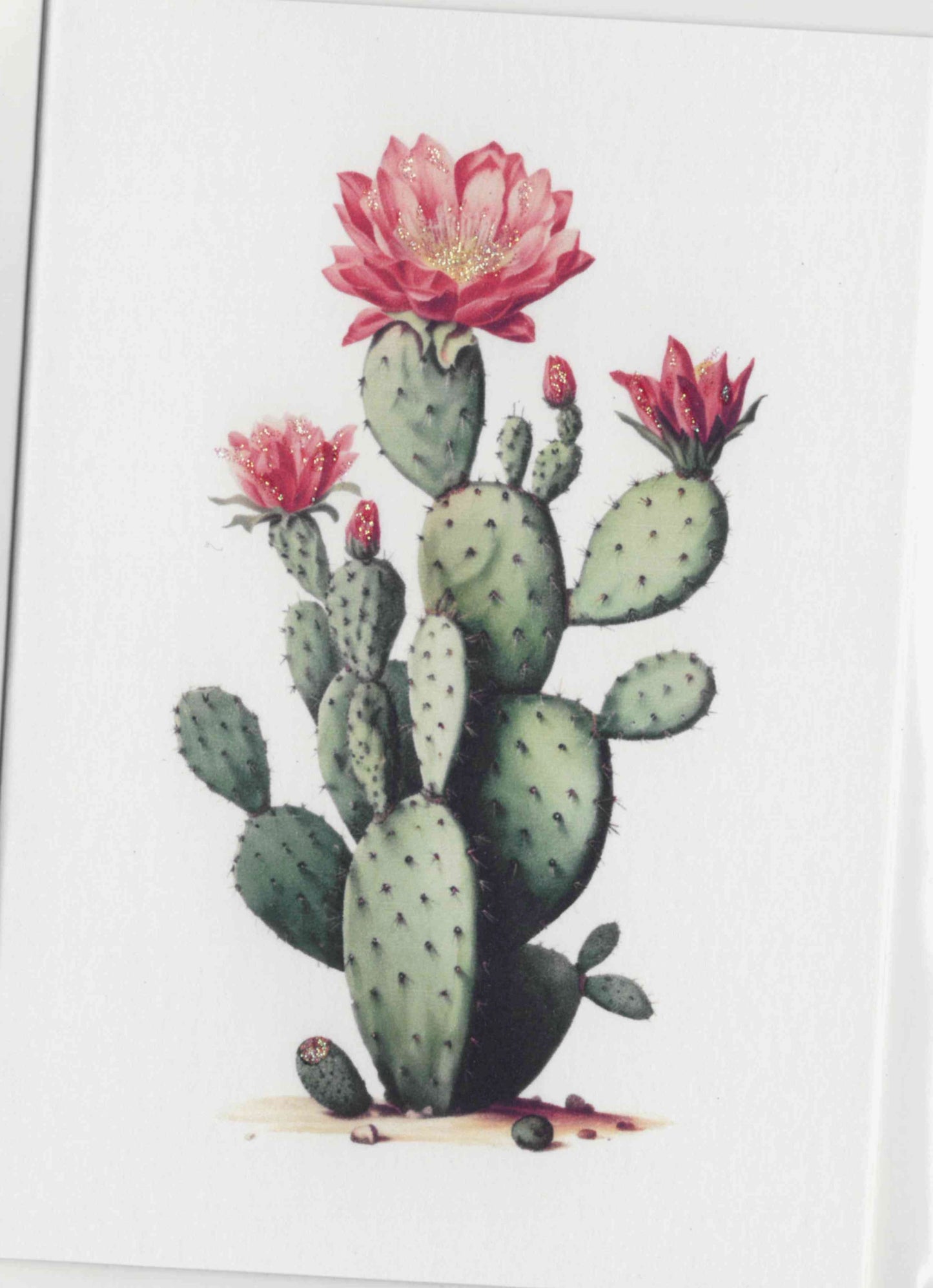 Dandelion Greeting Cards - Cactus Flower