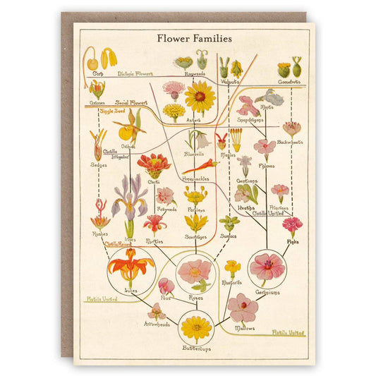The Pattern Book - Flower Families