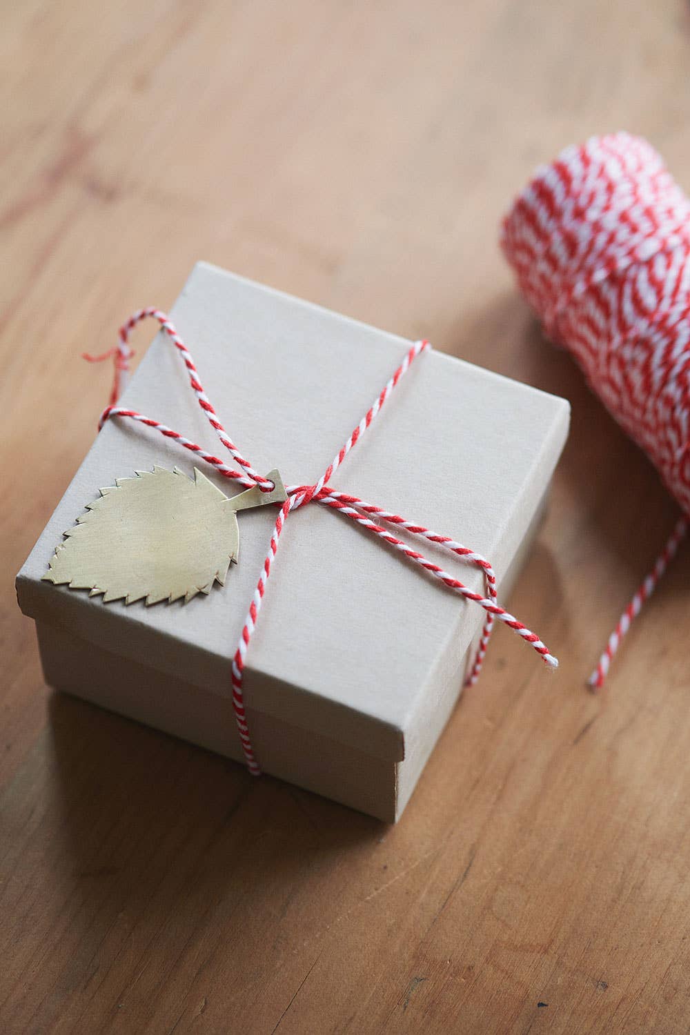 Brass Leaf Ornament (C)