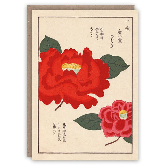 The Pattern Book - Camellias
