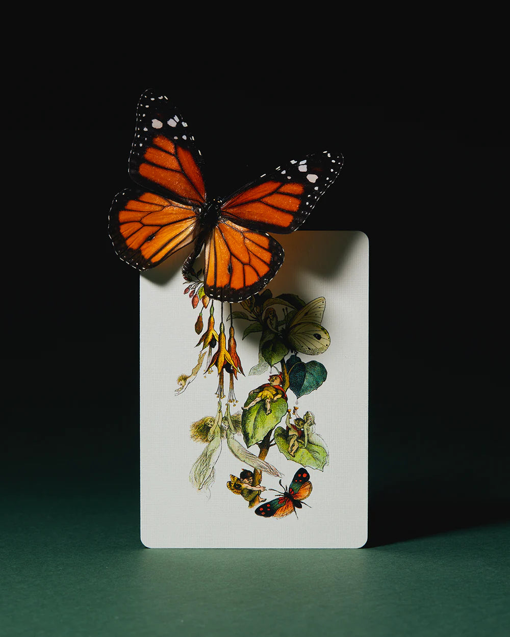 Art of Play Playing Cards Grimmlore Tartan