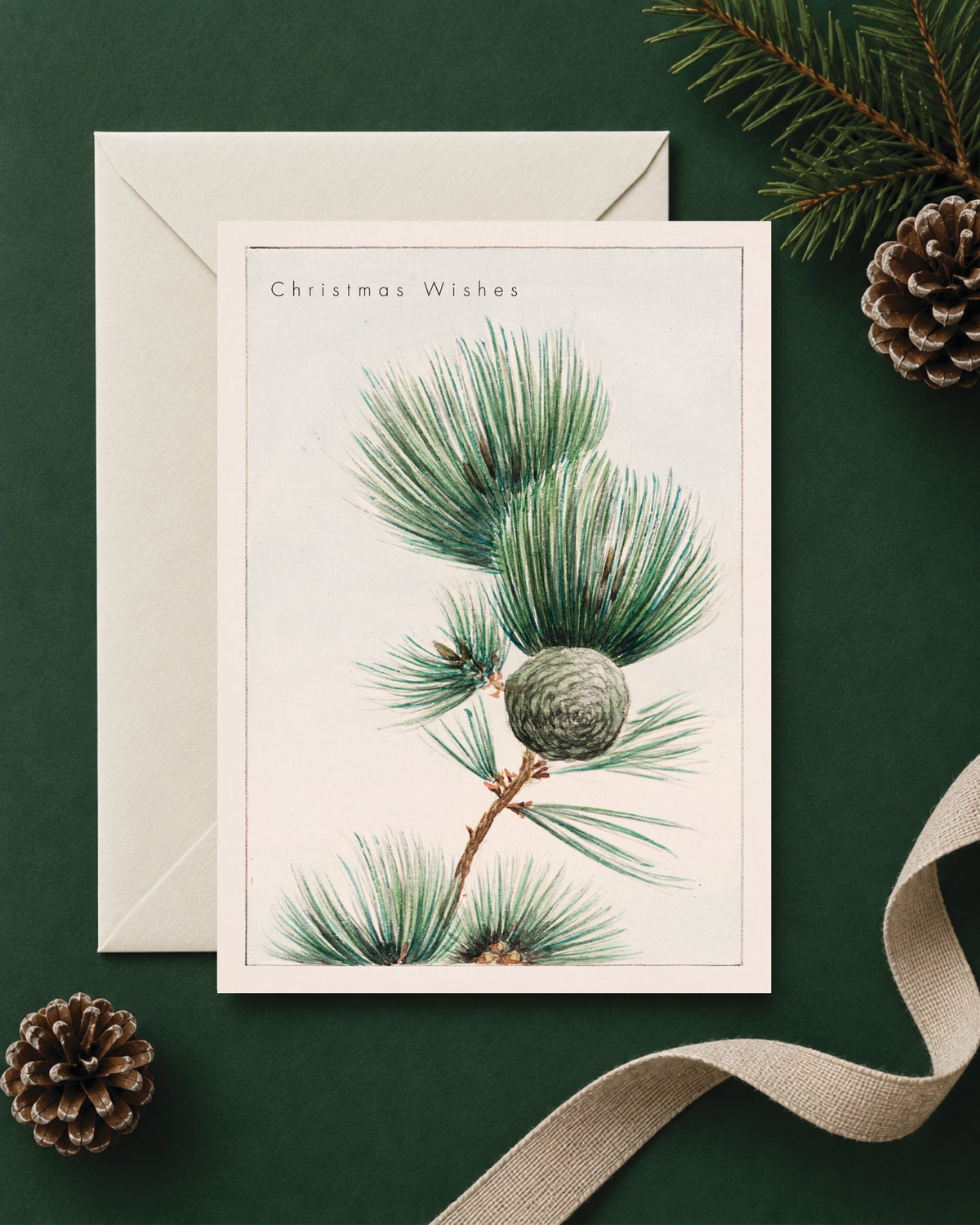 Kiku Print Christmas Card, Pine Sprig