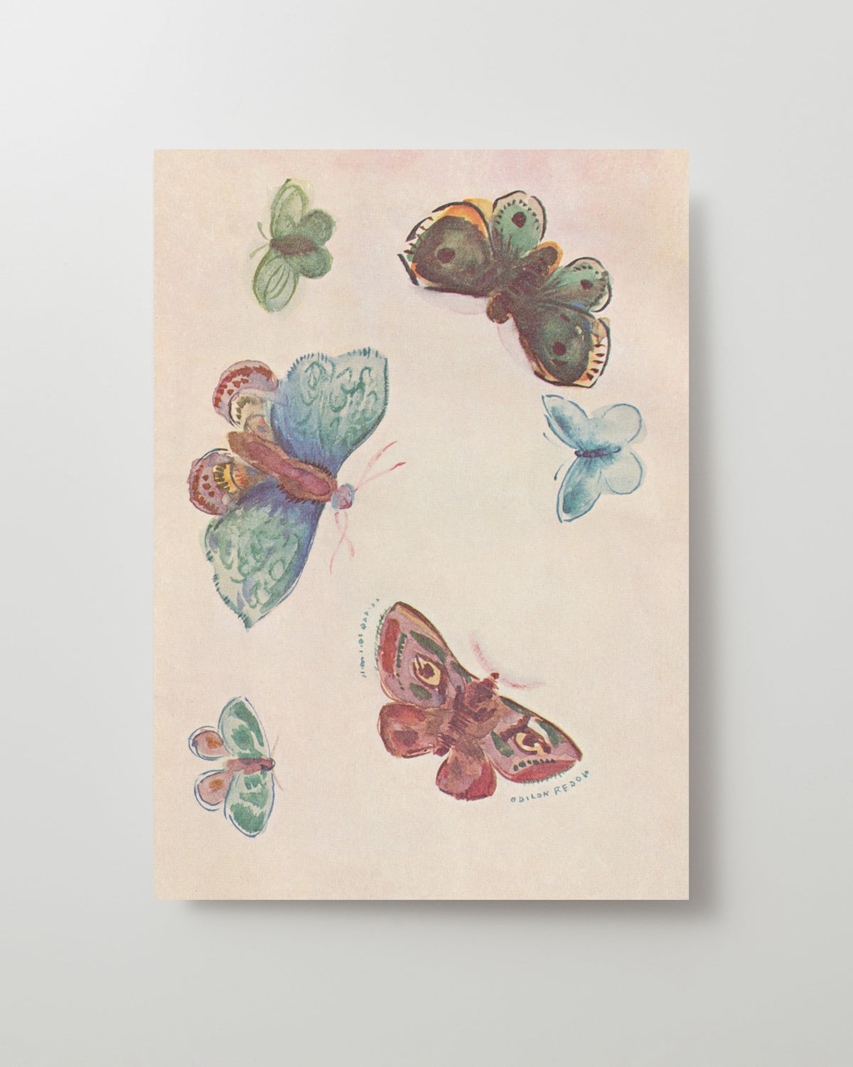 Kiku Print Greeting Card, Butterfly