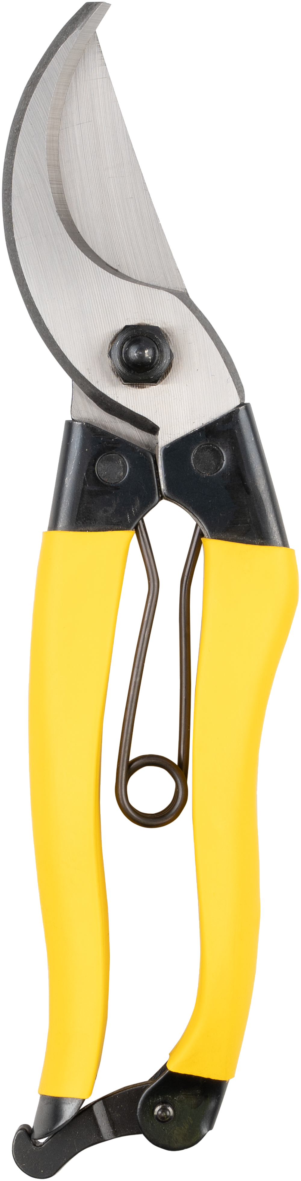 Niwaki Mainichi Secateurs