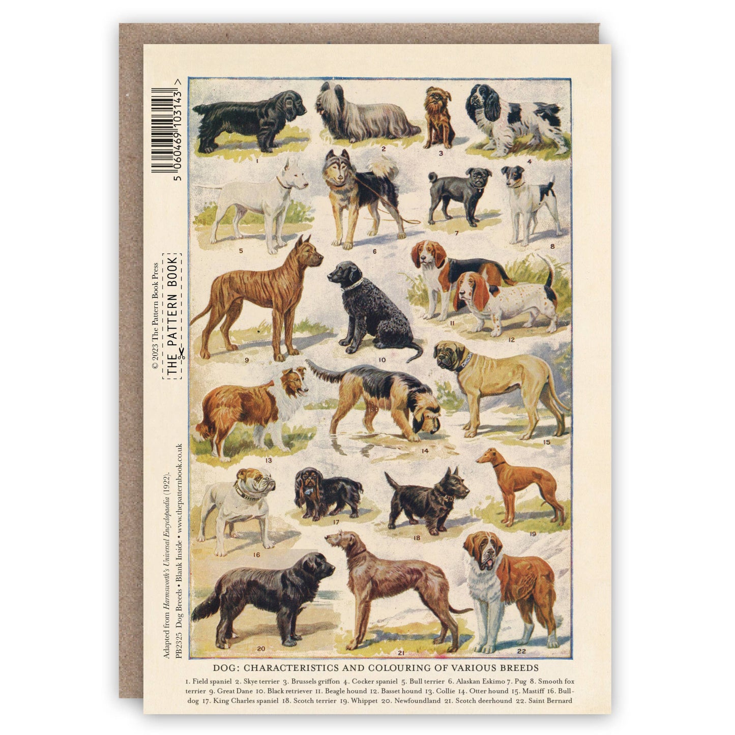 The Pattern Book - Dog Breeds greeting card