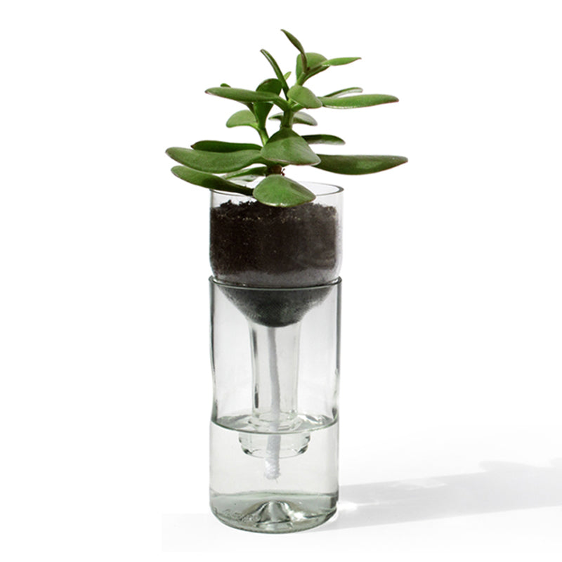 Side by Side Glass Self Watering Bottle