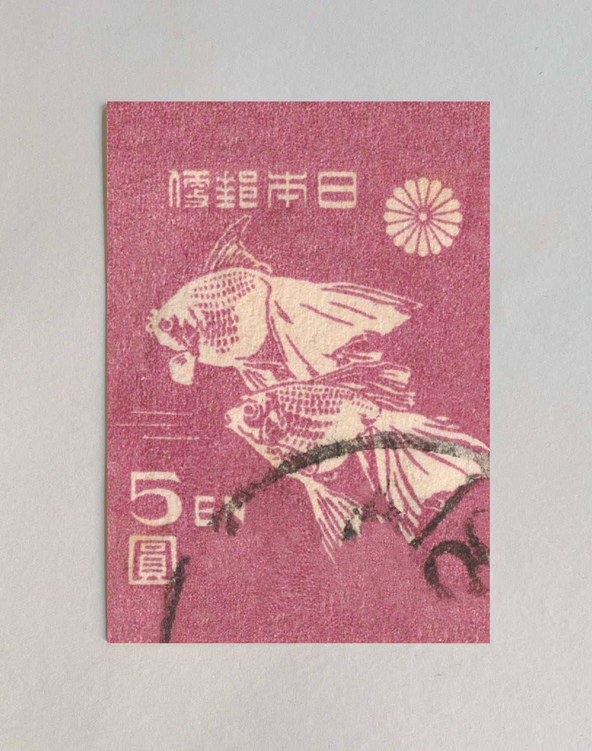 Kiku Print Postcard, Goldfish Stamp