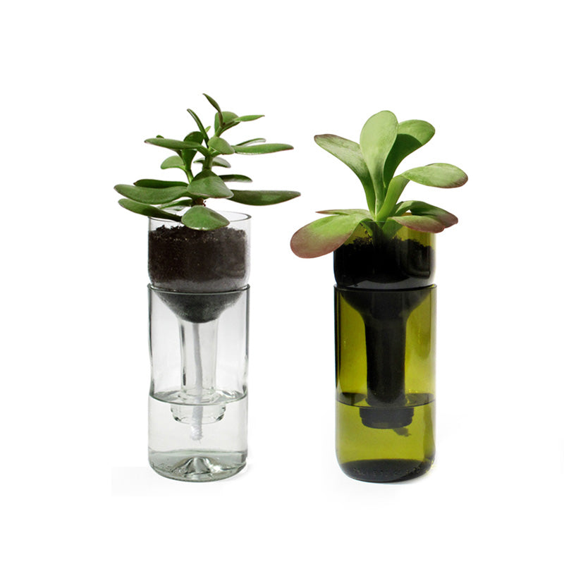 Side by Side Glass Self Watering Bottle